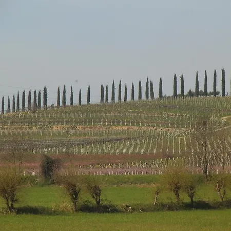 Casa Sulle Colline Di *